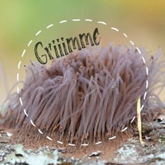 Griiimme