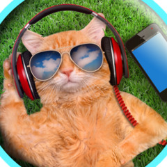 Orange Cat Music