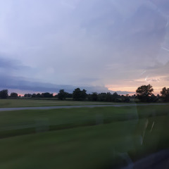 Thane Meadows