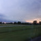 Thane Meadows