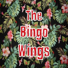 Zac Kuzmanov & The Bingo Wings