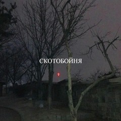 СКОТОБОЙНЯ