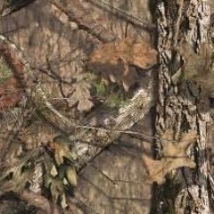 Camoqueen