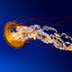 Atomic