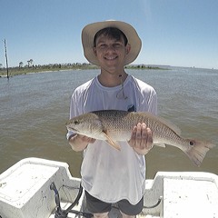 Alex from the Midwest