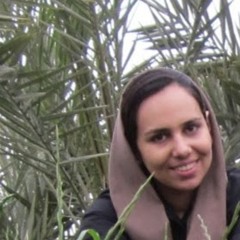 sara taheri