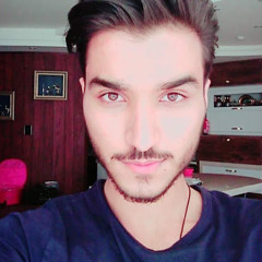 soheil rad