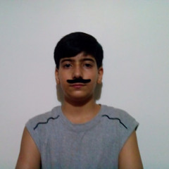 Shayan Tuluoei