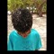 curly_-_prxd