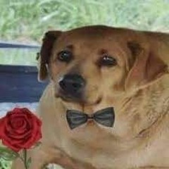 Carl-Christian Hjorthede