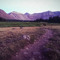 EPikSl33pWaLk3R