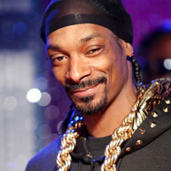 Snoop 420