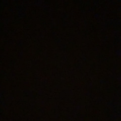 leylaniglenn_