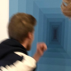 The Experimental Zone