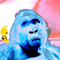 Æ