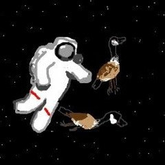 Space Geese