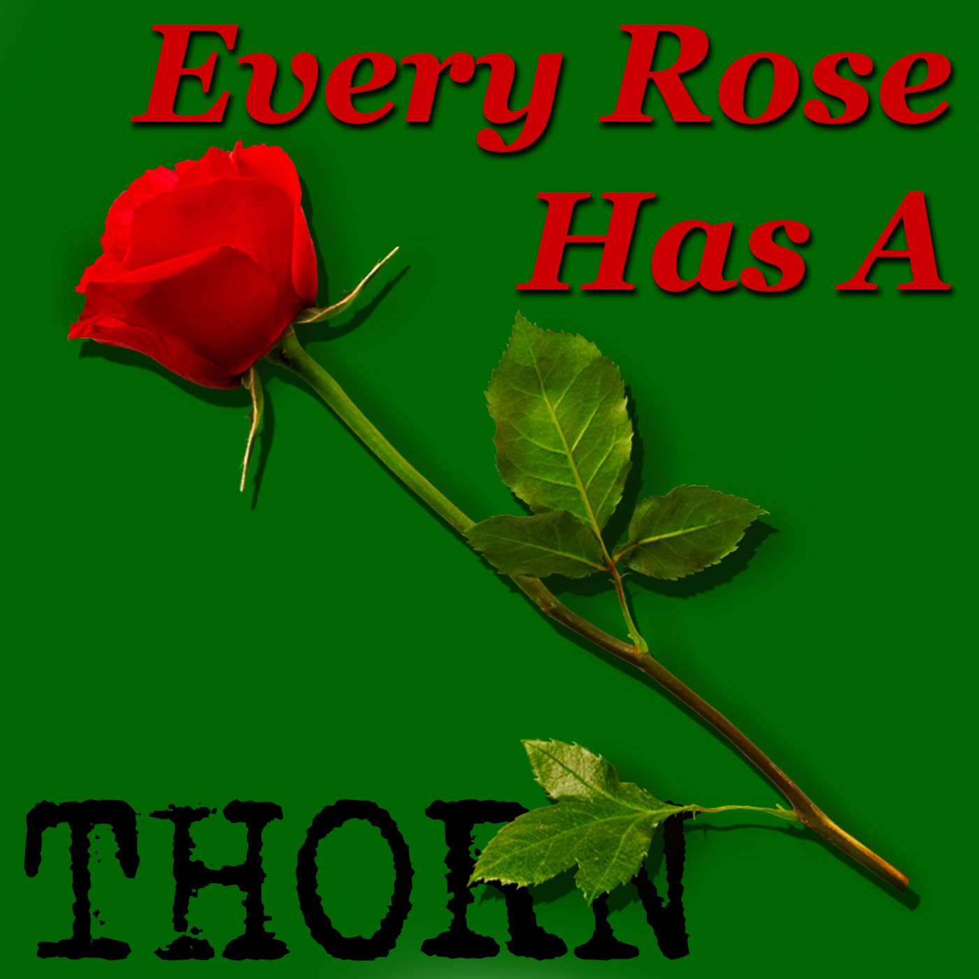 Every Rose Has A Thorn
