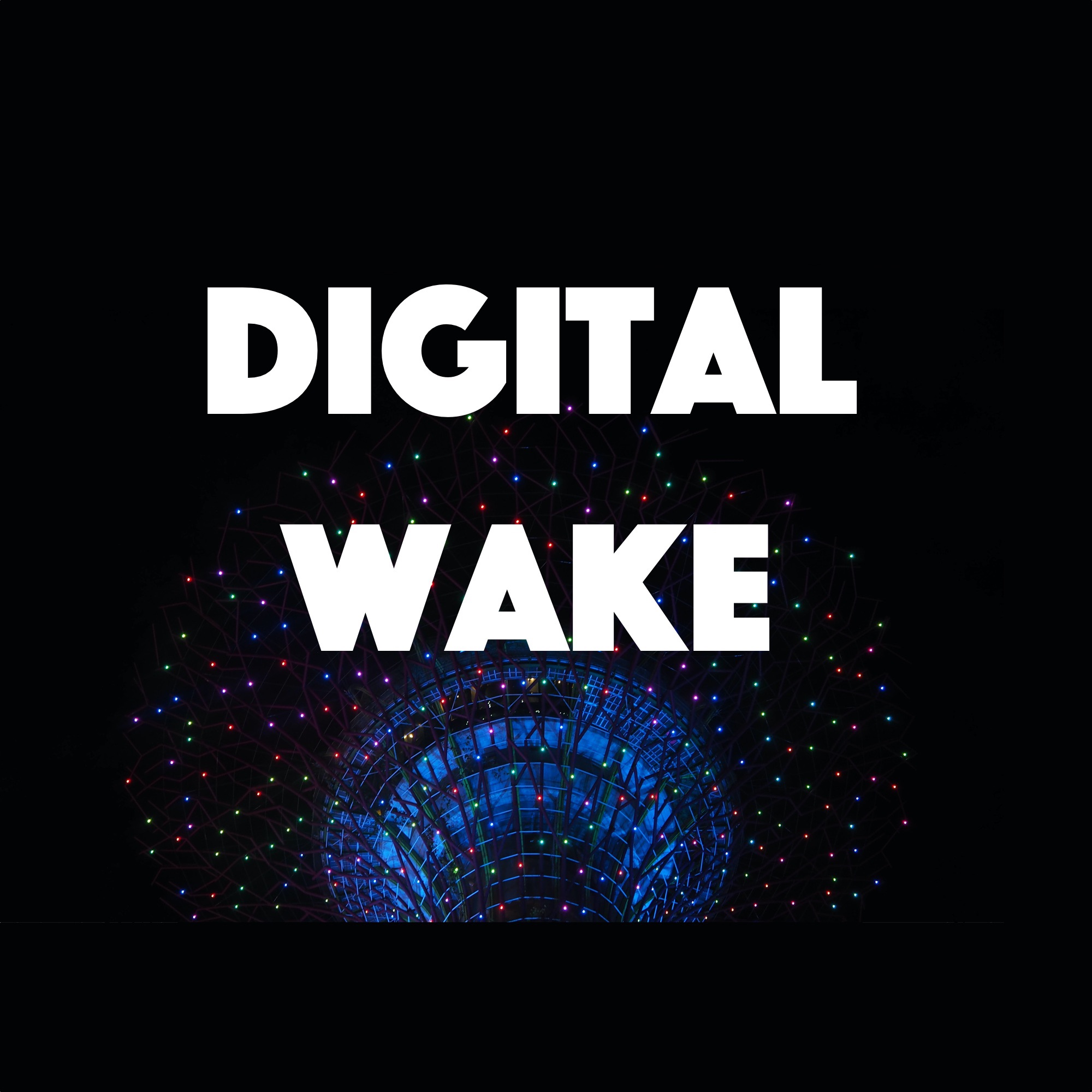 Digital Wake