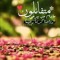 محمد مصطفى