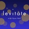 Levitate with Ryan Nell