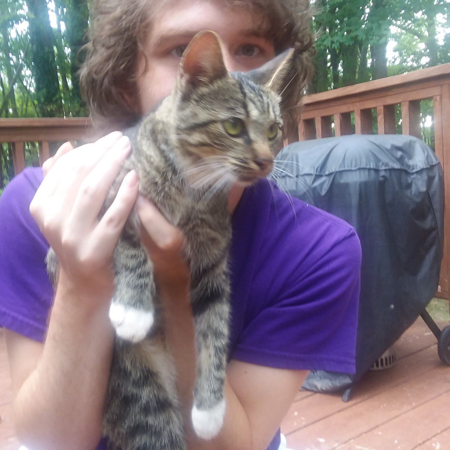 SketchyCat