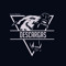 Descargas
