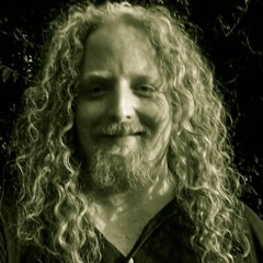 Wilmer Waarbroek