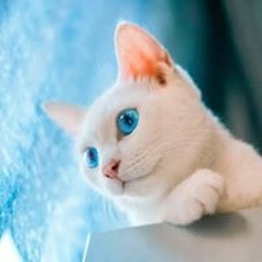 김민재