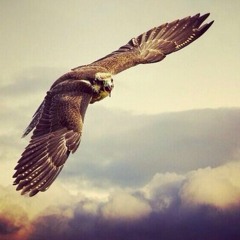 فارس الهويريني