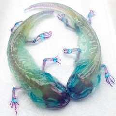 Diaphonized Animals