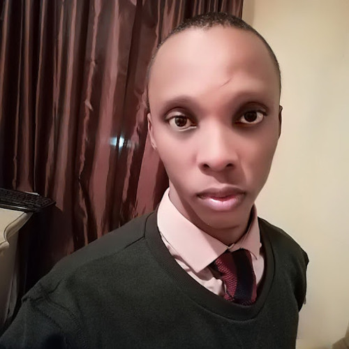 Mlungisi Ndlovu’s avatar