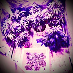 blackmarketpharmacist