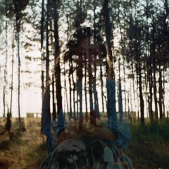 halojo