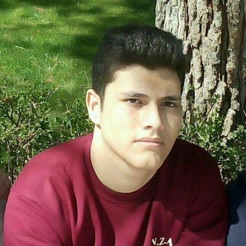 Arvin Rahnama’s avatar