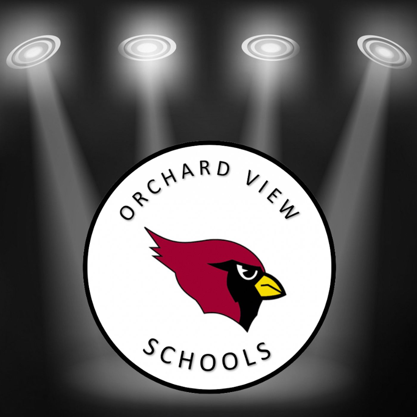 Curriculum Orchard View