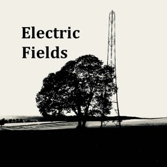 Electric Fields - Audio Recording and Production