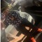 $tripfor22