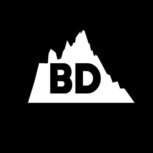 BD RECORDS’s avatar