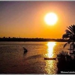 saied