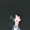 쏭그SSONGU