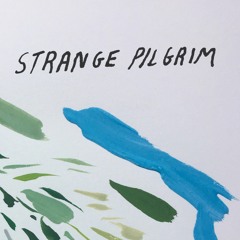 Strange Pilgrim
