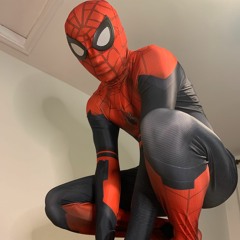 Mr Spider-Man