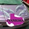 JYANIGMA311