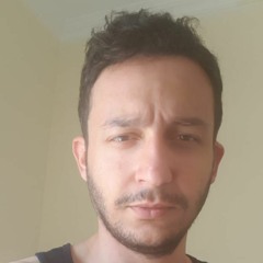 Ahmed negm
