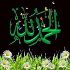 Soha Shrifi