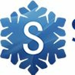 Web Development Services - Snowflakes Software