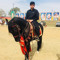 Usman Sandhu