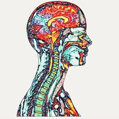 Danny Bloom | Composer