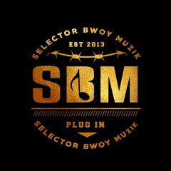 Selector Bwoy Muzik(Mixs )