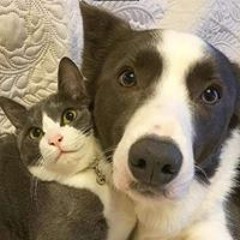 Trần Đức Tuấn